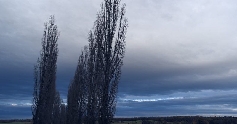 Nahoana no voakapoka mafy izao tontolo izao ?